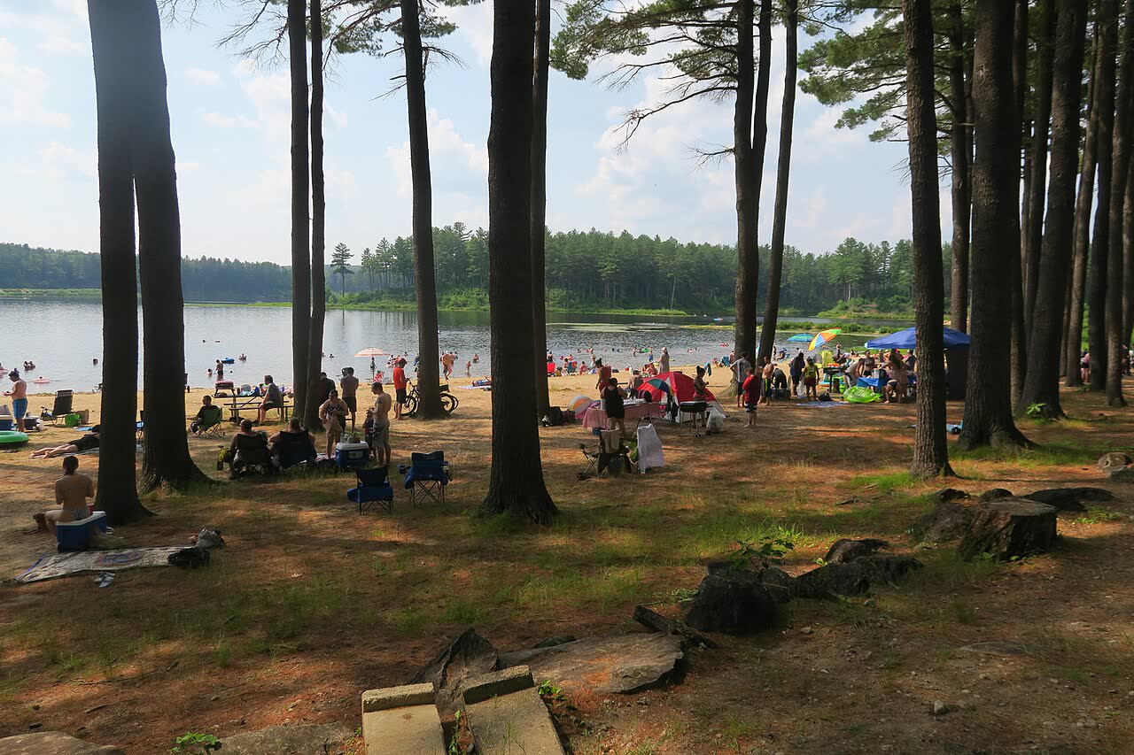 Lake and woods at Clough State Park in Weare