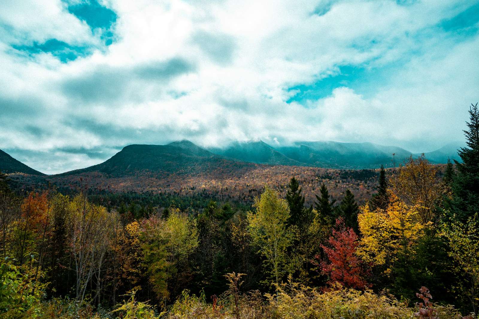 Autumn forest and mountains along the Kancamagus Highway