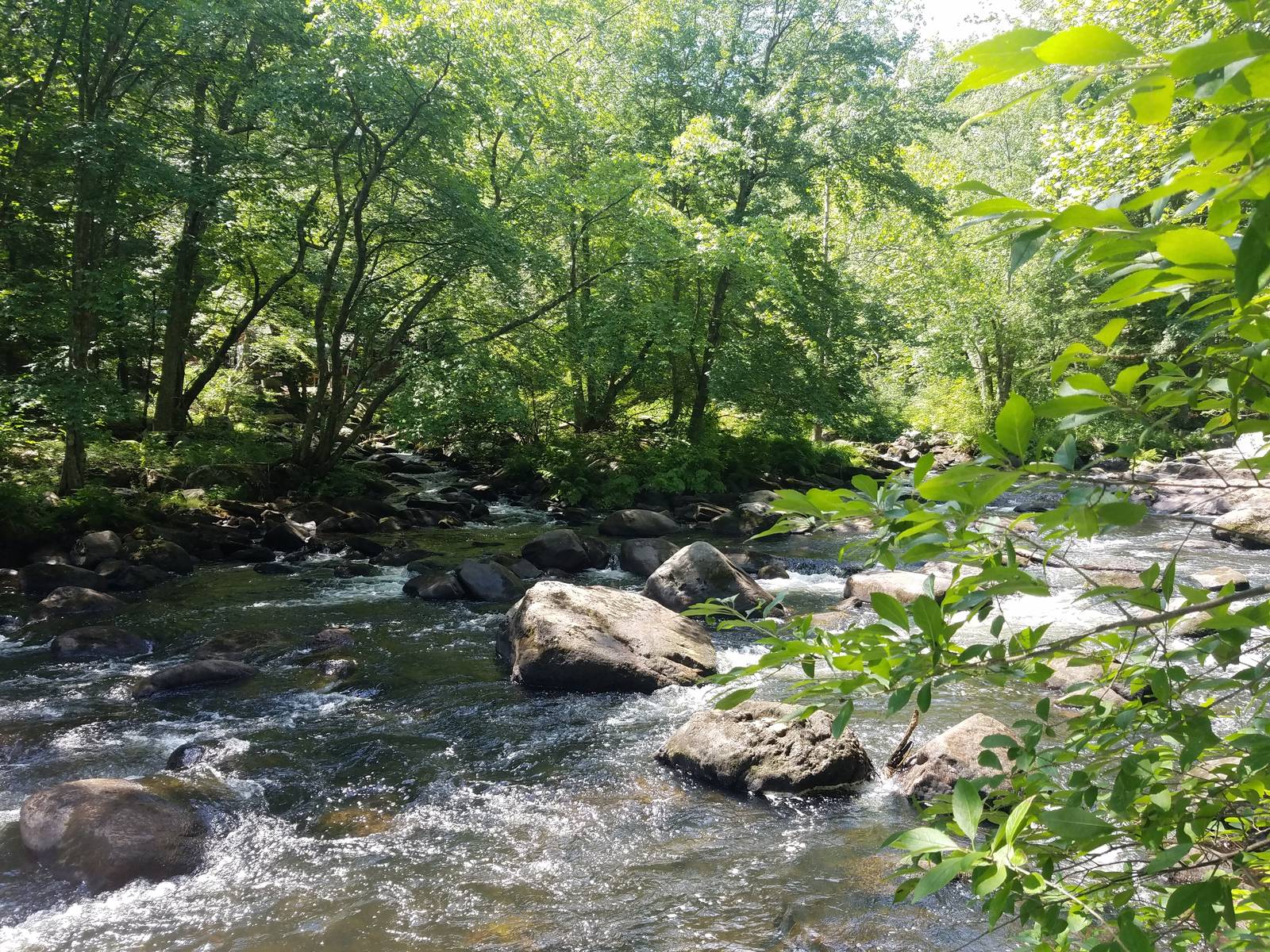 The Souhegan River in Merrimack, New Hampshire, with rocks and trees along the bank