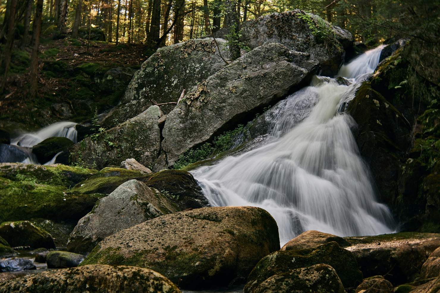 Waterfall over mossy rocks in White Mountain National Forest